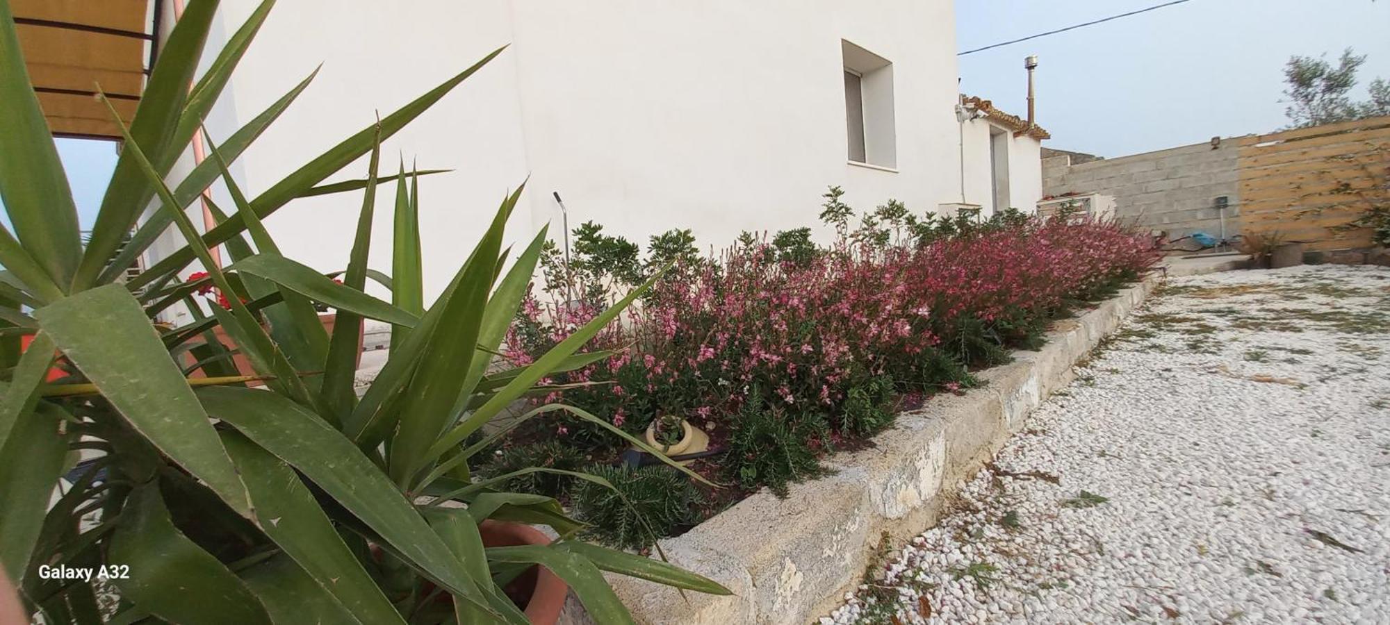 Almademari Giglio Casa Vacanza 파키노 객실 사진